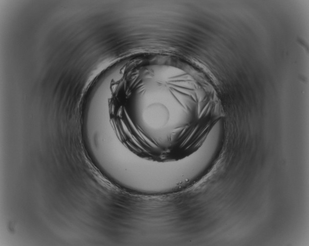 X0000091231114200709061514