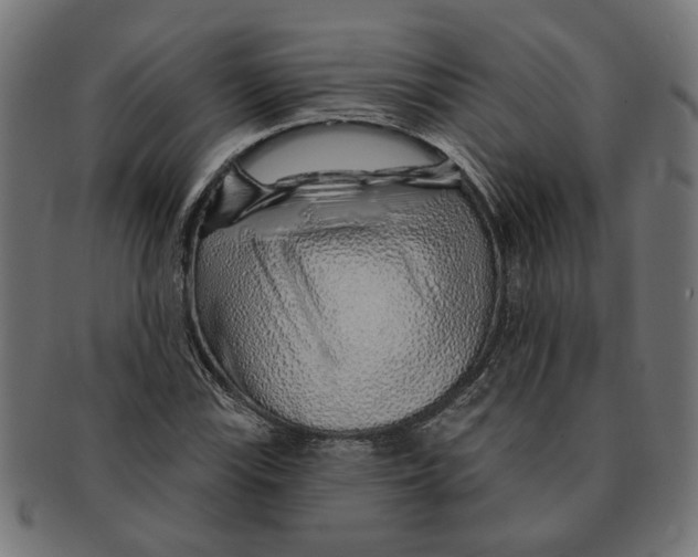 X0000091231115200709061514