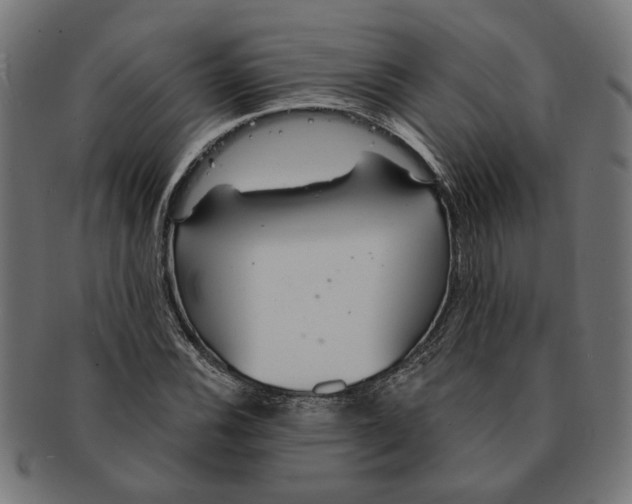 X0000091231116200709061514