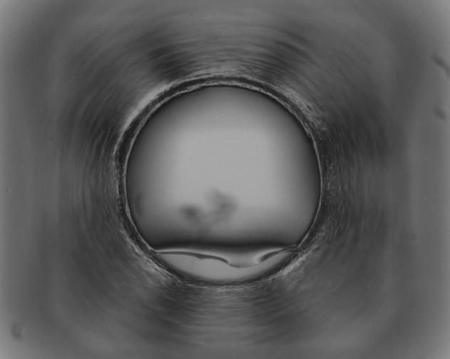 X0000091231118200709061514