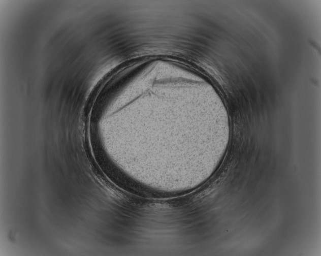 X0000091231119200709061514