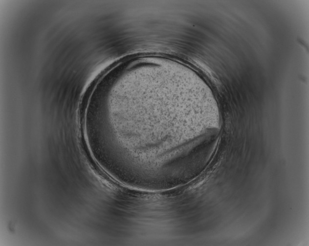 X0000091231120200709061514