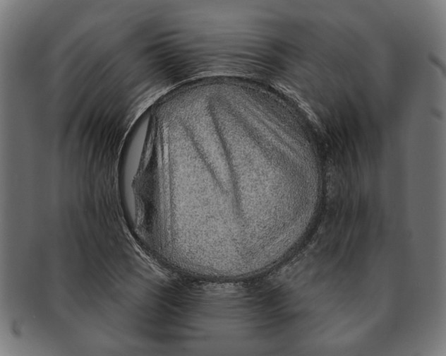 X0000091231121200709061514