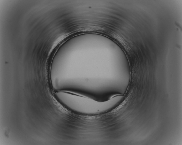 X0000091231122200709061514