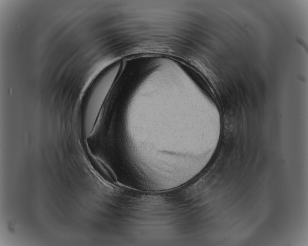 X0000091231123200709061514