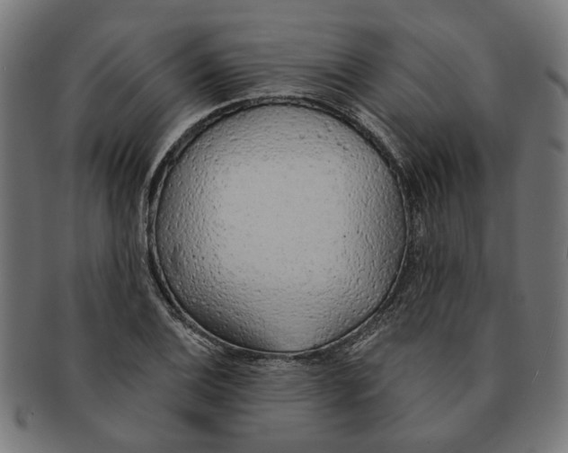 X0000091231124200709061514
