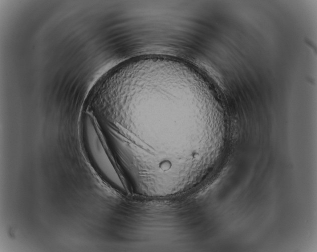 X0000091231125200709061514