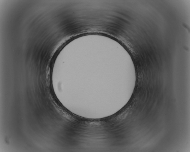 X0000091231126200709061514