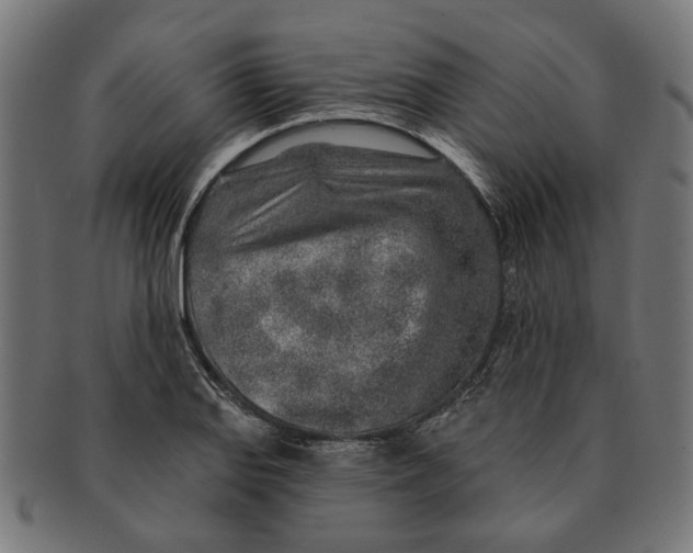 X0000091231127200709061514