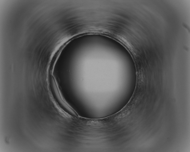 X0000091231128200709061514