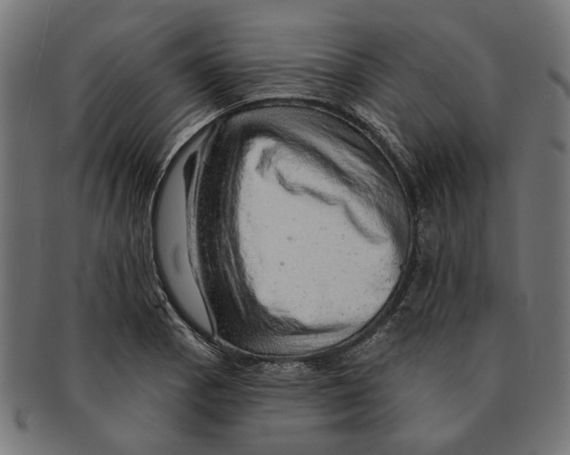 X0000091231129200709061514