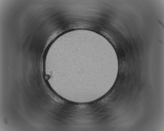 X0000091231130200709061514