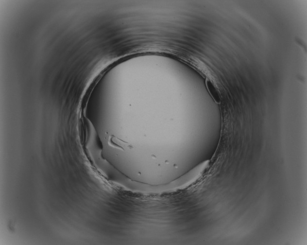 X0000091231132200709061514