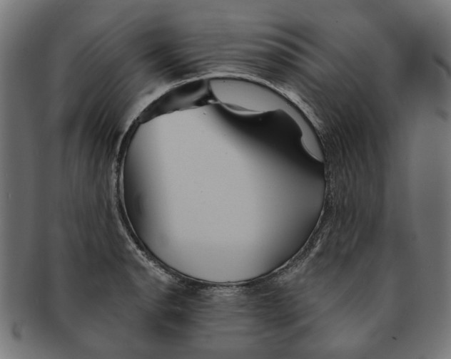 X0000091231134200709061514