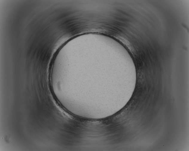 X0000091231135200709061514