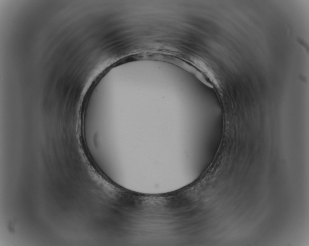 X0000091231136200709061514