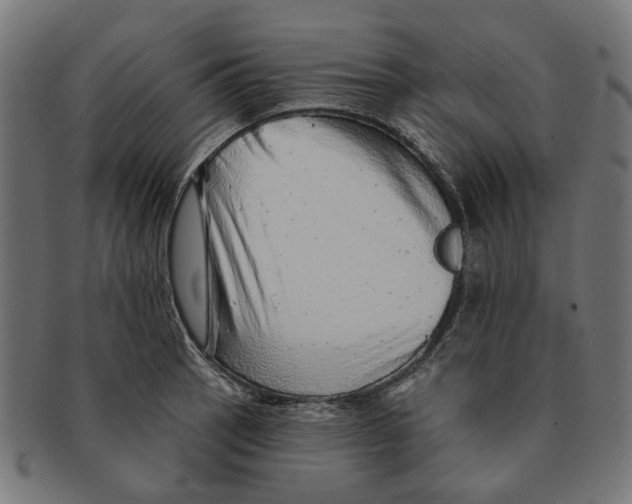 X0000091231137200709061514