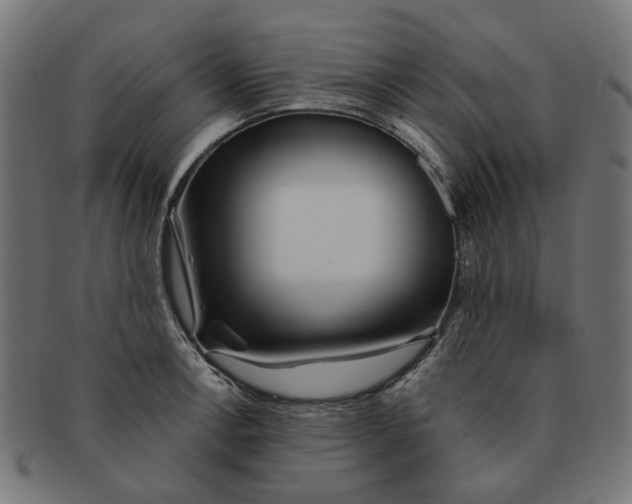 X0000091231138200709061514