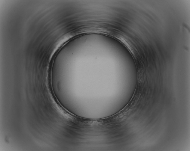 X0000091231139200709061514