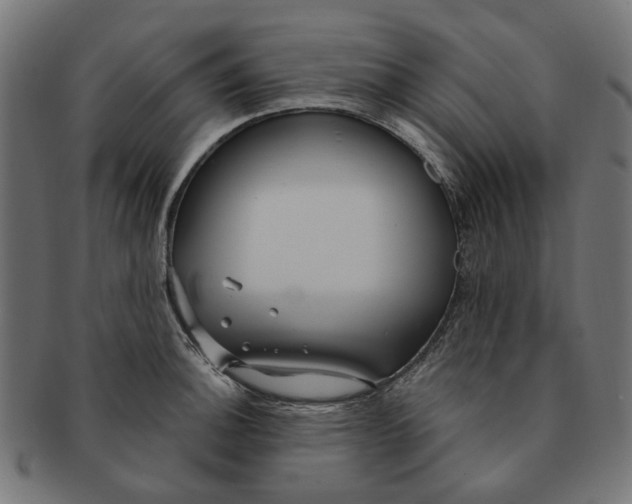 X0000091231140200709061514