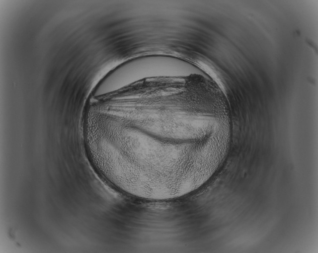 X0000091231141200709061514