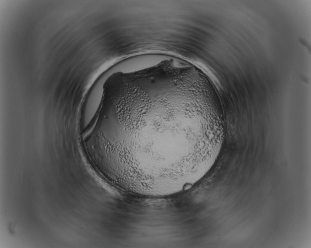 X0000091231142200709061514