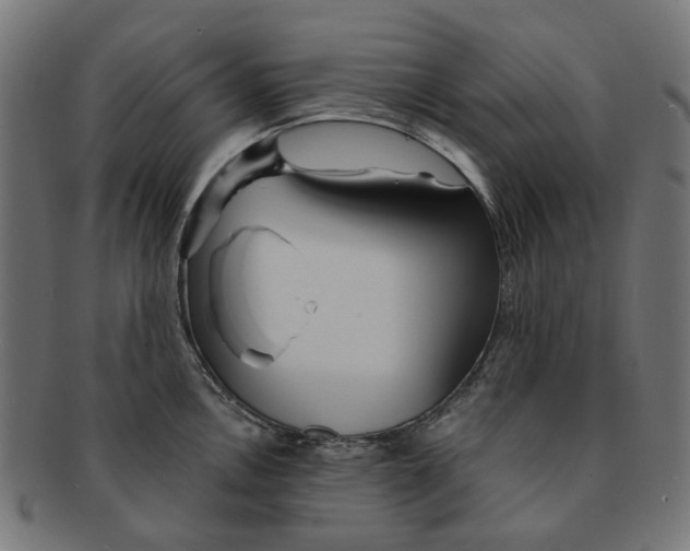 X0000091231146200709061514