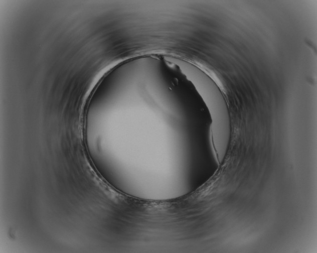 X0000091231148200709061514