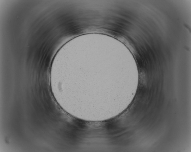X0000091231150200709061514
