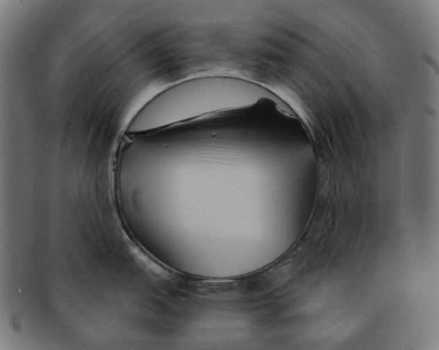 X0000091231151200709061514