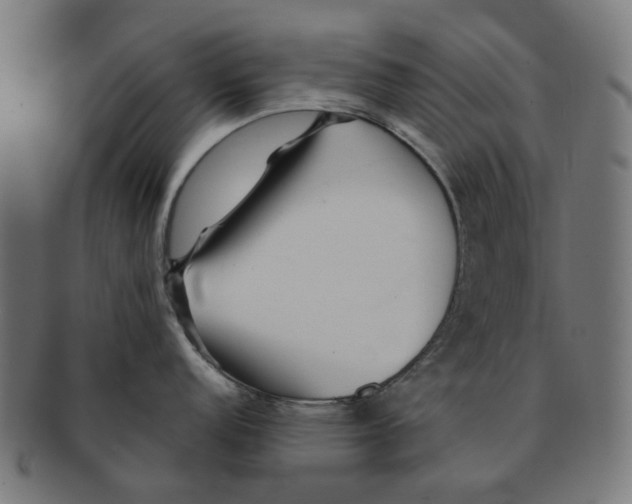 X0000091231152200709061514
