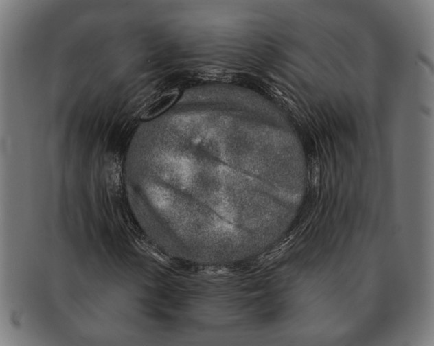 X0000091231154200709061513