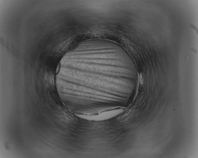 X0000091231155200709061513