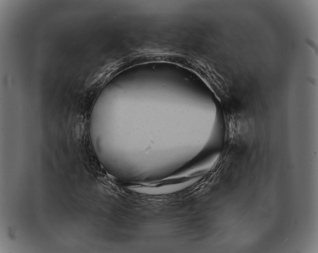 X0000091231157200709061513