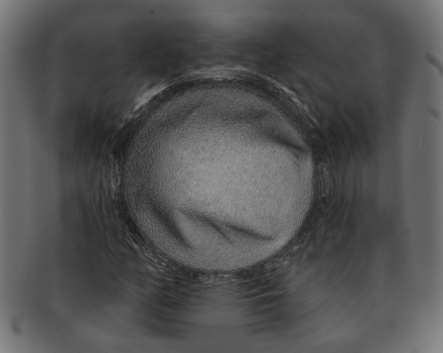 X0000091231158200709061513