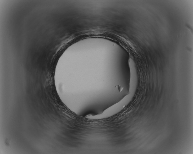 X0000091231160200709061513