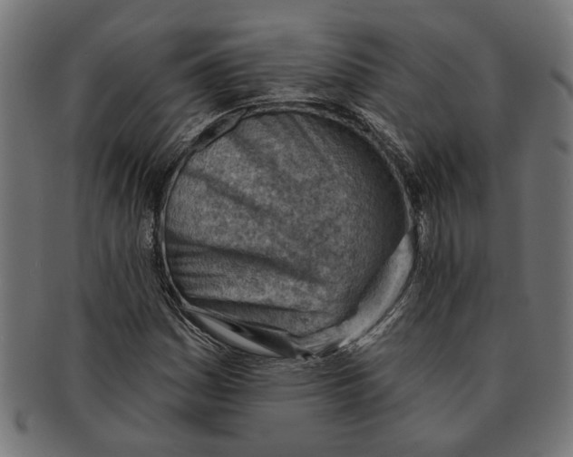 X0000091231161200709061513