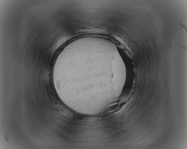 X0000091231163200709061513