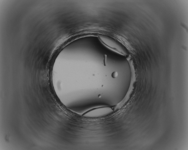 X0000091231164200709061513