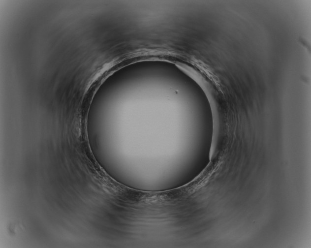 X0000091231165200709061513