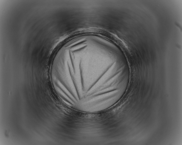 X0000091231166200709061513