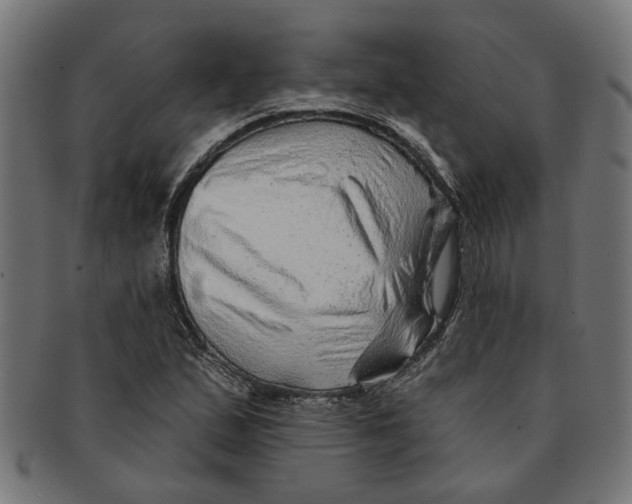 X0000091231167200709061513