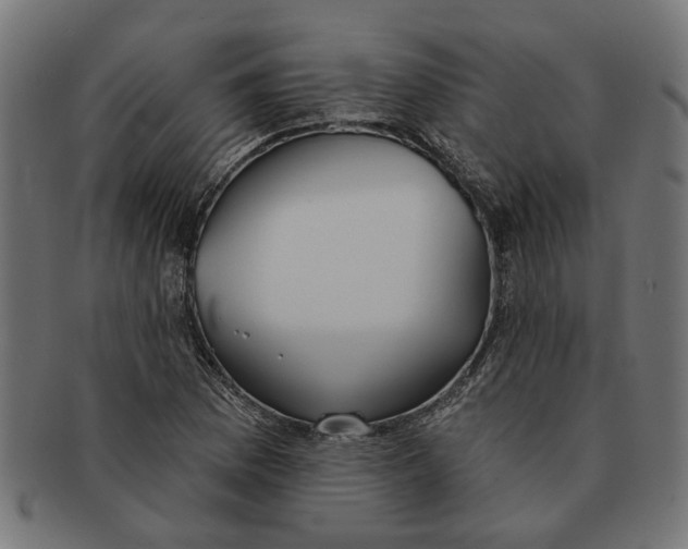 X0000091231169200709061513