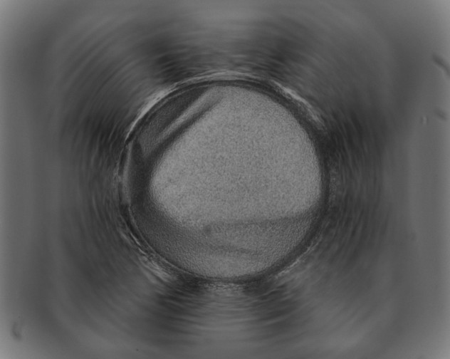 X0000091231170200709061513