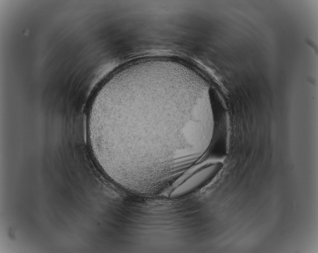X0000091231171200709061513