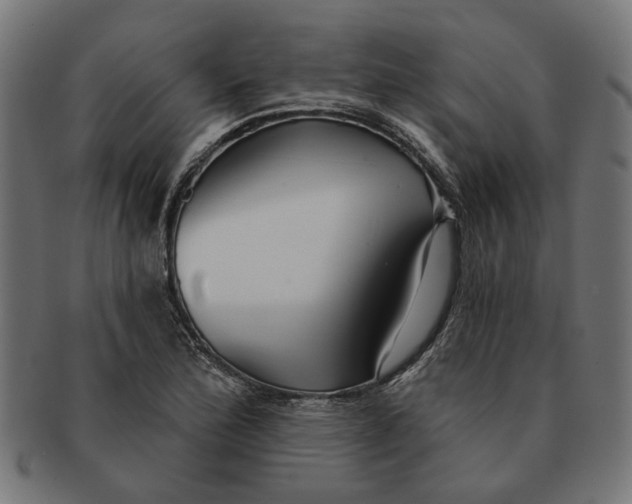 X0000091231172200709061513