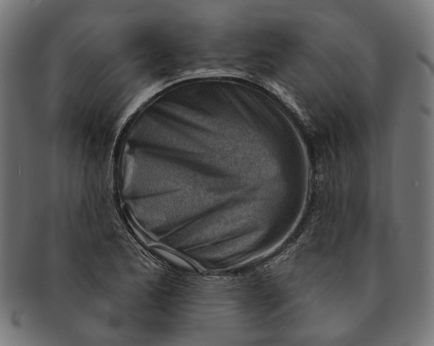 X0000091231173200709061513