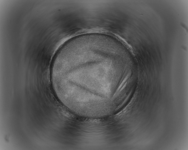 X0000091231174200709061513