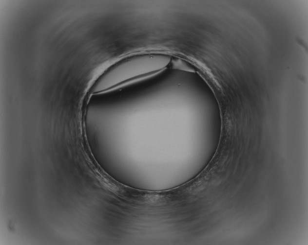 X0000091231176200709061513