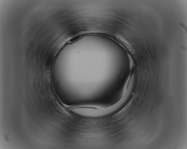 X0000091231177200709061513